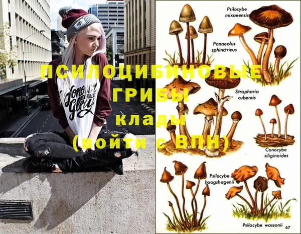 твердый Слюдянка