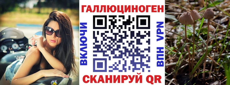 Псилоцибиновые грибы MAGIC MUSHROOMS  Купить  Фёдоровский 